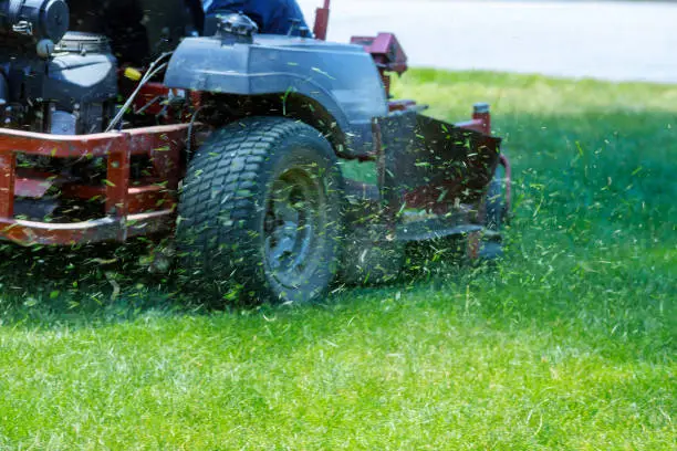 Photo of Red Lawn mower cutting grass. Gardening concept