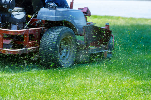 red lawn mower cutting grass. gardening concept - power equipment imagens e fotografias de stock