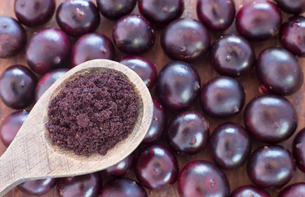 açaí em pó e bagas-euterpe oleracea - açaí - fotografias e filmes do acervo