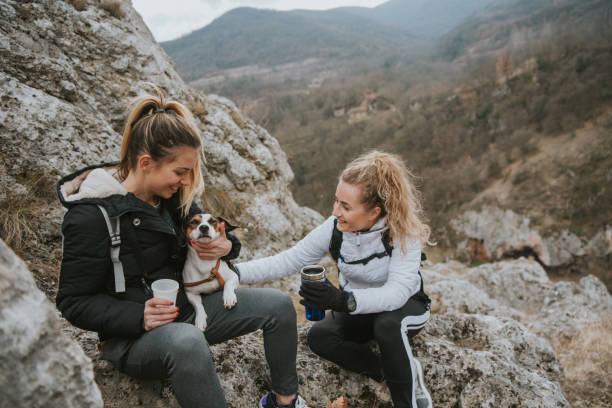 istock Friends together on the top 1132881870