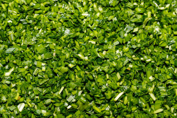 chopped leek background，In Chinese families, the family prepares dumplings together, and mixes meat, onions, ginger, garlic, leeks, cabbage, and eggs to make dumplings and make Chinese dumplings. chopped leek background，In Chinese families, the family prepares dumplings together, and mixes meat, onions, ginger, garlic, leeks, cabbage, and eggs to make dumplings and make Chinese dumplings. 塞滿的 stock pictures, royalty-free photos & images