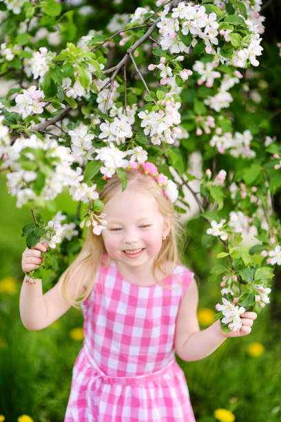 istock Adorable little girl in blooming apple tree garden on beautiful spring day 1132889708
