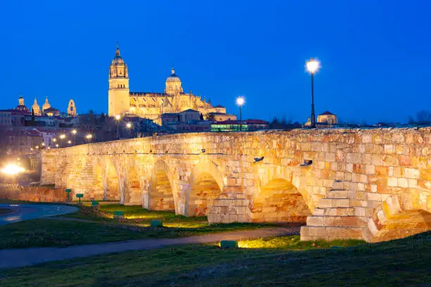 The Cathedral and Roman Bridge from Salamanca, Spain lit up at night.