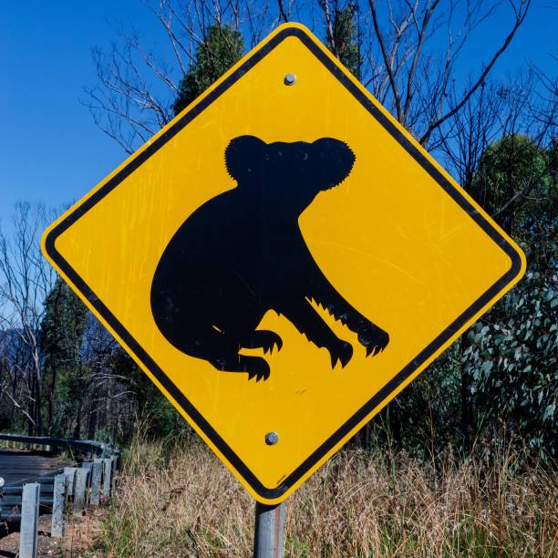 Australian signs found along the road on road trips - inspiration for adventure, travel memories and brochures of signs in Australia for tourists.