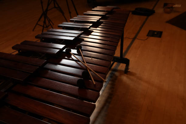 instruments à percussion: marimba - vibraphone photos et images de collection