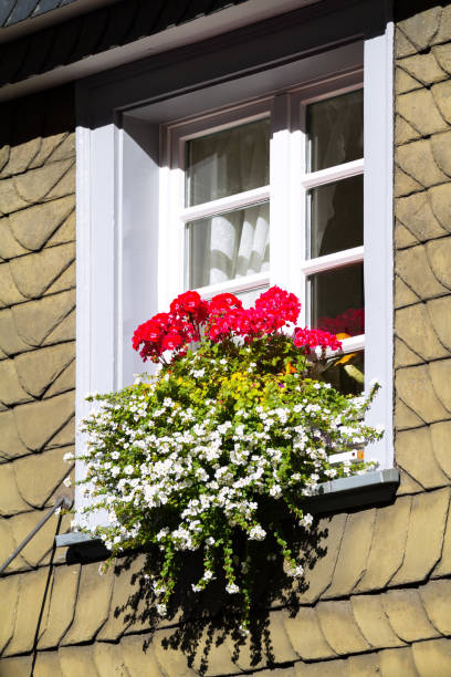 istock Schist facade with window and flowers 1132905048