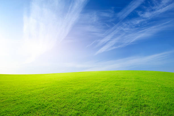 istock Green grass and blue sky with white clouds 1132909208
