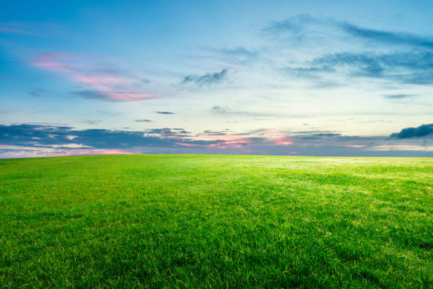 istock Green grass and beautiful sky at sunset 1132910031