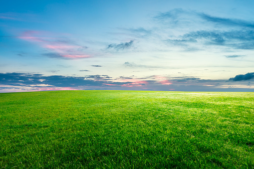 Green grass and beautiful sky clouds at sunset