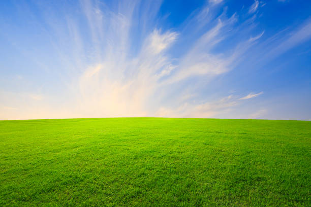 istock Green grass and beautiful sky at sunset 1132910114
