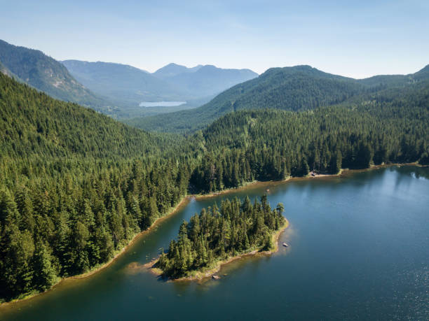 istock Aerial Canadian Landscape 1132912768