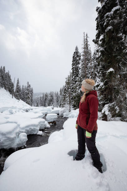 istock Snowshoeing in British Columbia, Canada 1132913863