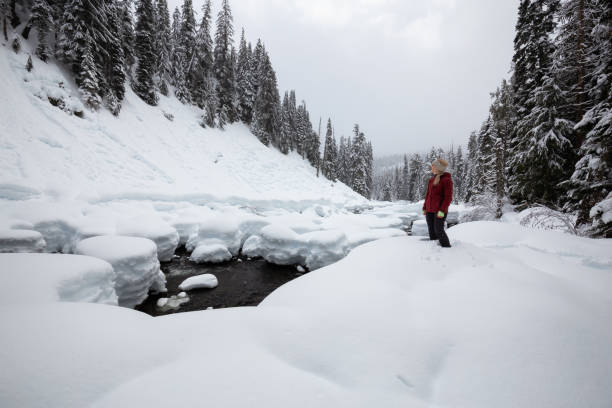 istock Snowshoeing in British Columbia, Canada 1132913978