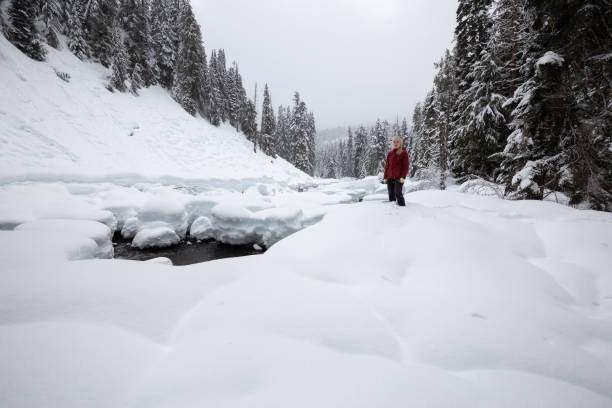 istock Snowshoeing in British Columbia, Canada 1132913979