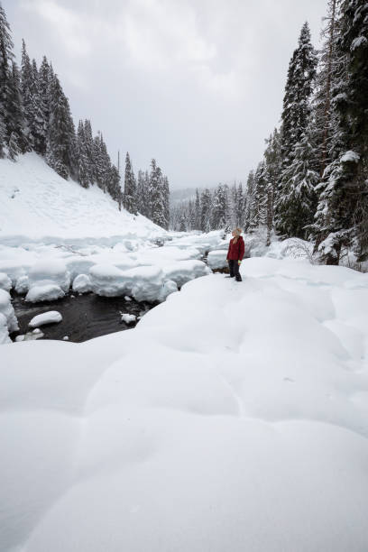 istock Snowshoeing in British Columbia, Canada 1132913993