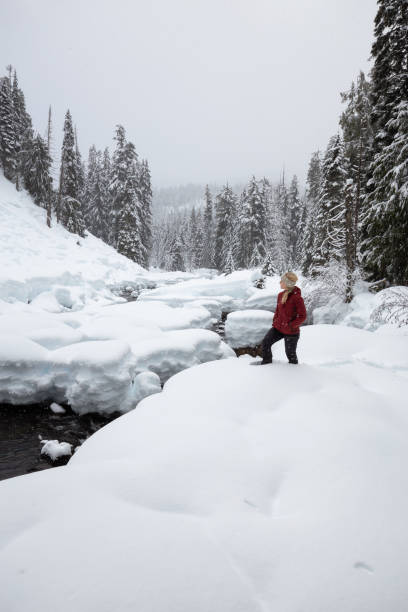 istock Snowshoeing in British Columbia, Canada 1132913996