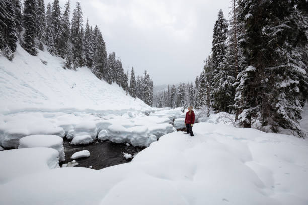 istock Snowshoeing in British Columbia, Canada 1132914002
