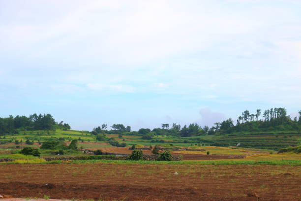 istock Jeju rural Landscape, 1132914528