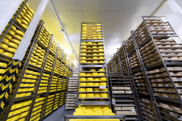 istock Racks with yellow cheese heads. Dairy plant 1132919450