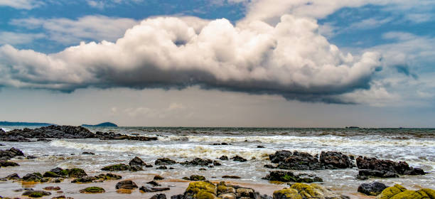 Very beautiful and panoramic landscape or seascape with dramatic cumulus clouds, stormy and blackish in  color, in blue sky, about to rain in rainy season on beach with waves and black algae rich rock Beautiful panoramic view of landscape or seascape with dramatic cumulus clouds, stormy and blackish, in blue sky about to rain in rainy monsoon season el nino stock pictures, royalty-free photos & images