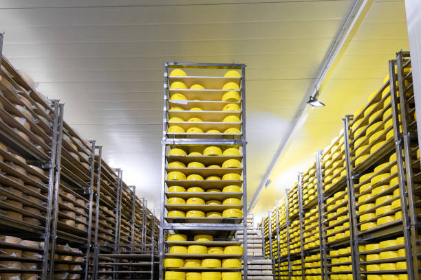 istock Big shelves with cheese at cheese factory 1132921043