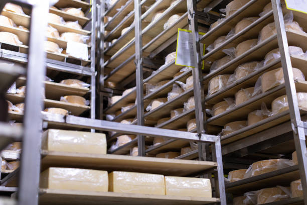 istock Shelves with cheese at cheese warehouse 1132921089