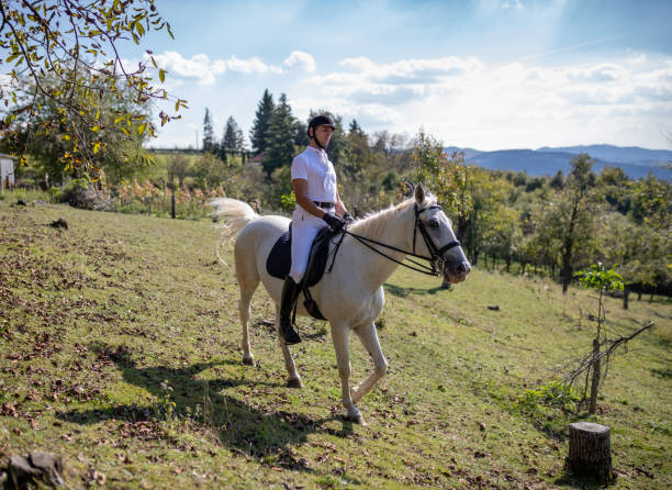 istock Horseback rider in equestrian uniform riding on field 1132922811