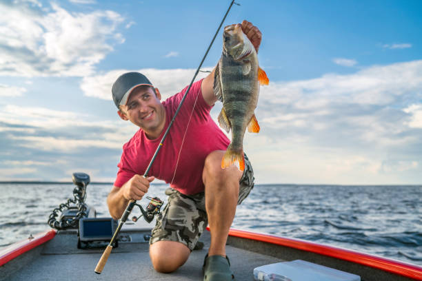 Happy fisherman with big perch fish trophy at boat Happy fisherman with big perch fish trophy at boat fishing rod photos stock pictures, royalty-free photos & images