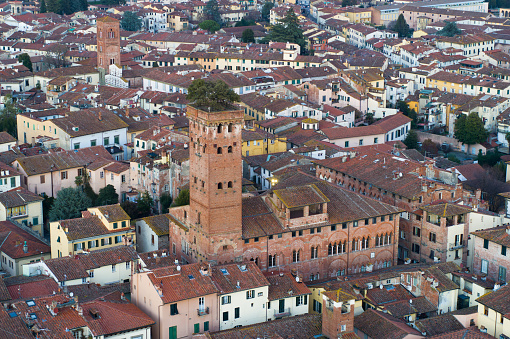 Guinigi Tower - Lucca
