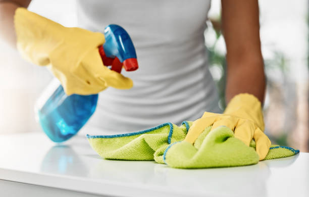 There’s no room for germs here Cropped shot of an unrecognizable young woman cleaning a table at home bleach stock pictures, royalty-free photos & images