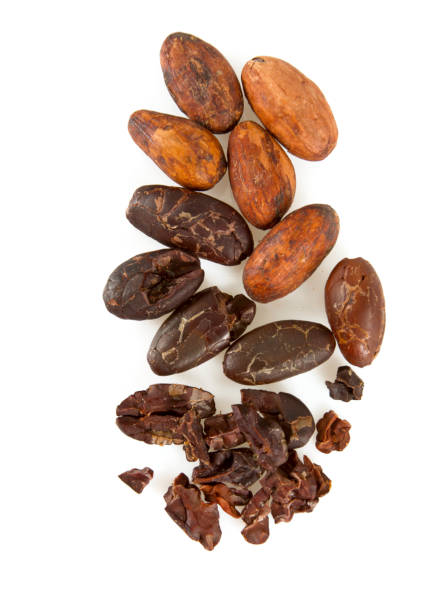 cocoa beans and nibs isolated cocoa beans and nibs isolated nib stock pictures, royalty-free photos & images