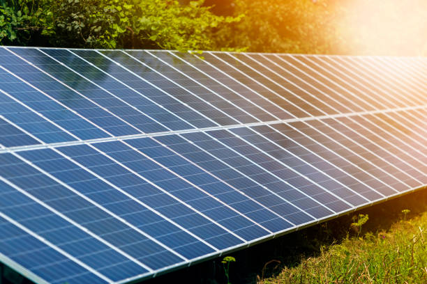istock Close-up surface of lit by sun modern saving efficient stand -alone blue shiny solar photo voltaic panels system producing renewable clean energy on green grass and trees foliage background. 1132926489