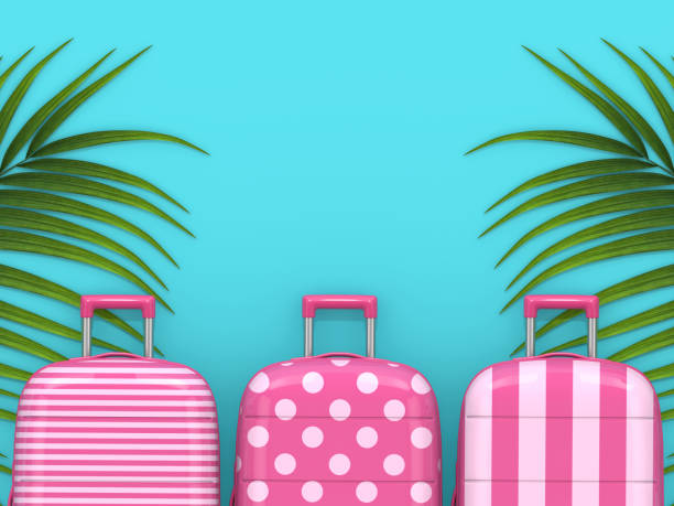 istock 3d render of three suitcases lying on palm leaf 1132927324