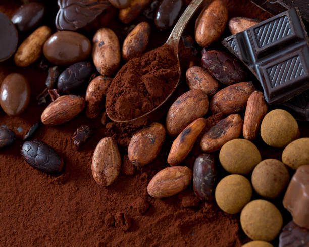 istock cocoa and chocolate candies 1132928211