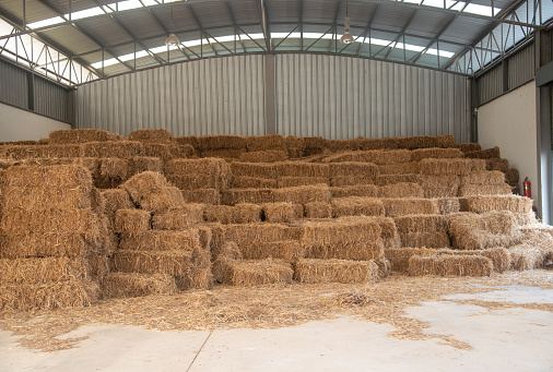 Straw barn, storehouse, rice straw warehoouse.