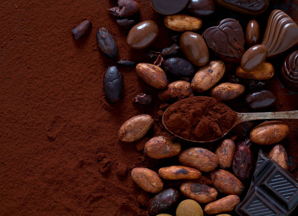 istock cocoa and chocolate candies 1132928457