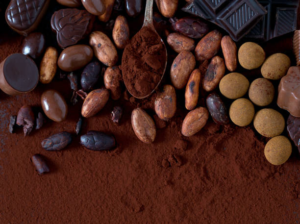 istock cocoa and chocolate candies 1132928459