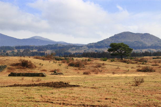 istock Horse Pasture, Ranch, Hallasan, 1132932240