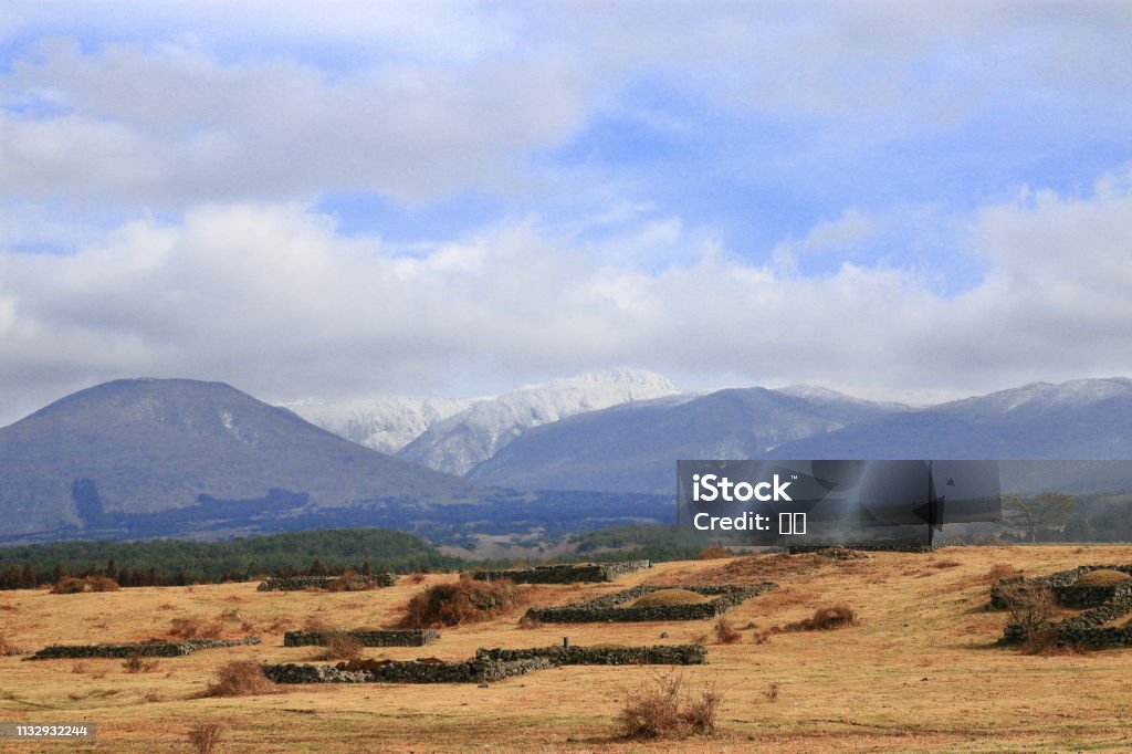 Horse Pasture, Ranch, Hallasan, This is a landscape of horse grazing land in Jeju. Animal Stock Photo