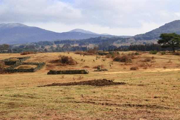 This is a landscape of horse grazing land in Jeju.