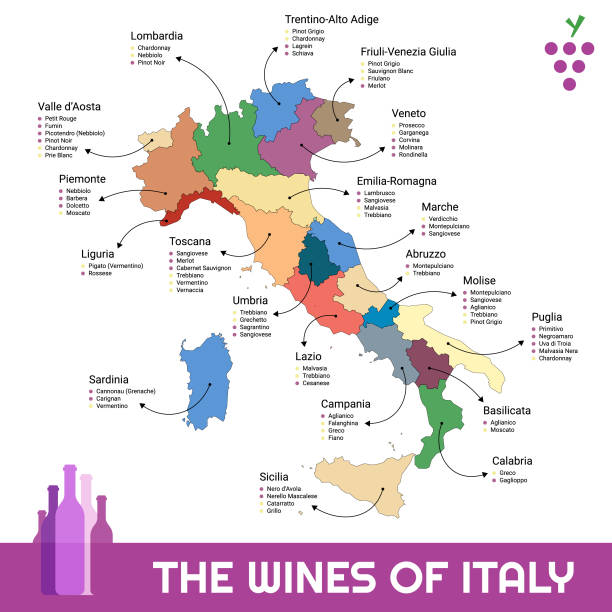 Map of the wines of italy and its regions Vector illustration of the map of all the different kinds of wines in every region in Italy. alto adige italy stock illustrations