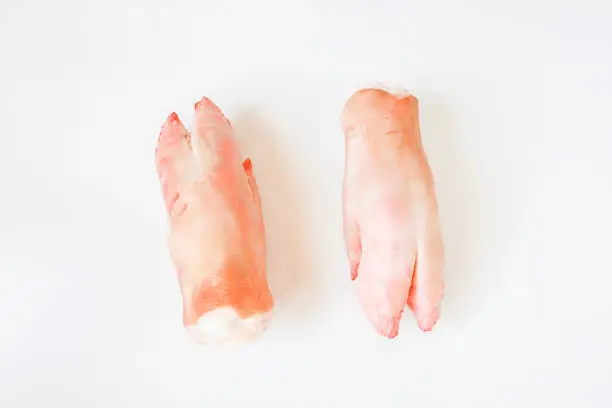 Photo of Top view fresh two feet 's pig or a pig's trotter on white background, a part of pig can cook and eatable in menu and there are various dishes around the world. Almost cooking as stew soup
