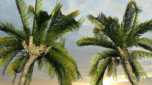 istock Palm Trees Against Sky, Tropical Holiday Concept 1132937330
