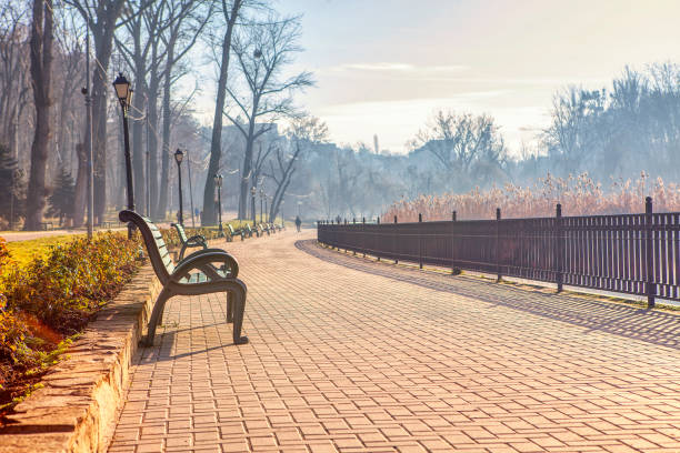 istock pavement and bench in the park 1132937554