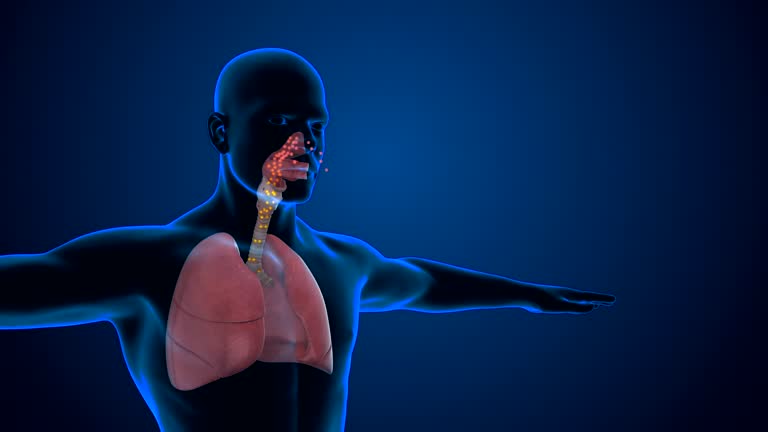 44,565 Respiratory System Stock Videos and Royalty-Free Footage - iStock | Circulatory system, Airway, Lungs 44,565 Respiratory System Stock Videos and Royalty-Free Footage - iStock | Circulatory system, Airway, Lungs