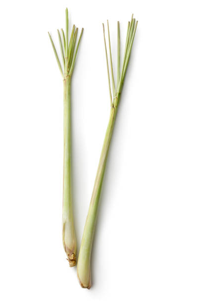 asian food: lemon grass isolated on white background - lemon grass imagens e fotografias de stock