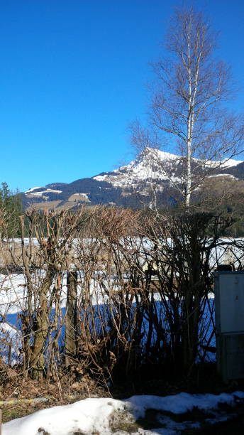 istock Was a glorious day in Austria, the winter's sun was out 1132954539