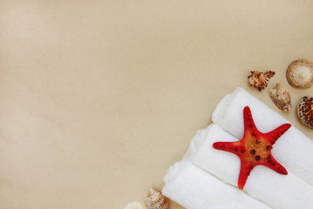 砂浜の海の貝殻と赤い星の魚テキスト用のコピースペース付き - beach body ストックフォトと画像