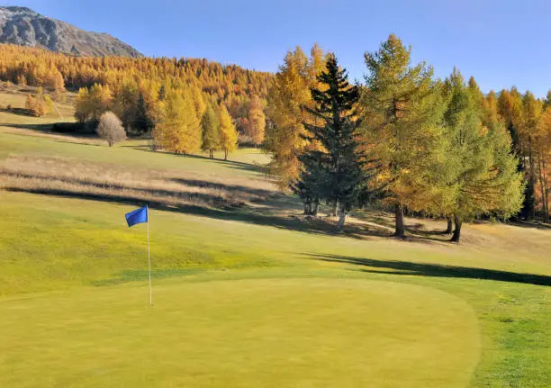 golf-course in alpine mountain and larches in autumn