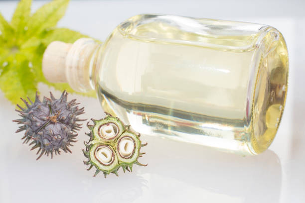 istock Fruits and castor oil - Ricinus communis 1132959622